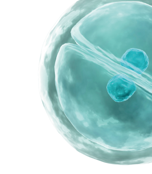 NAD+セラピー イメージ